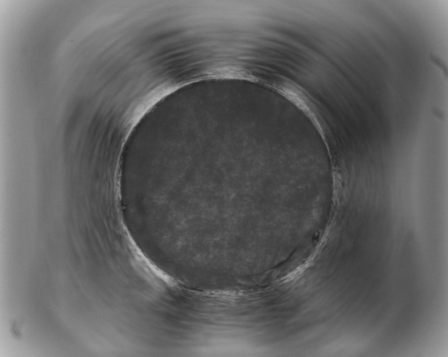 X0000102481141200809051350