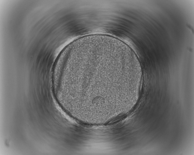 X0000102481142200809051350