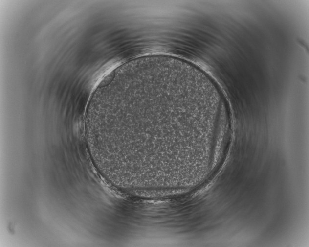 X0000102481145200809051350