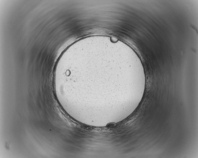 X0000102481146200809051350