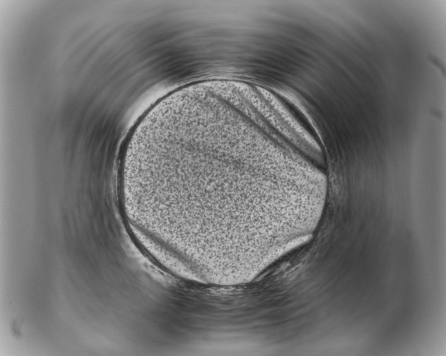 X0000102481147200809051350