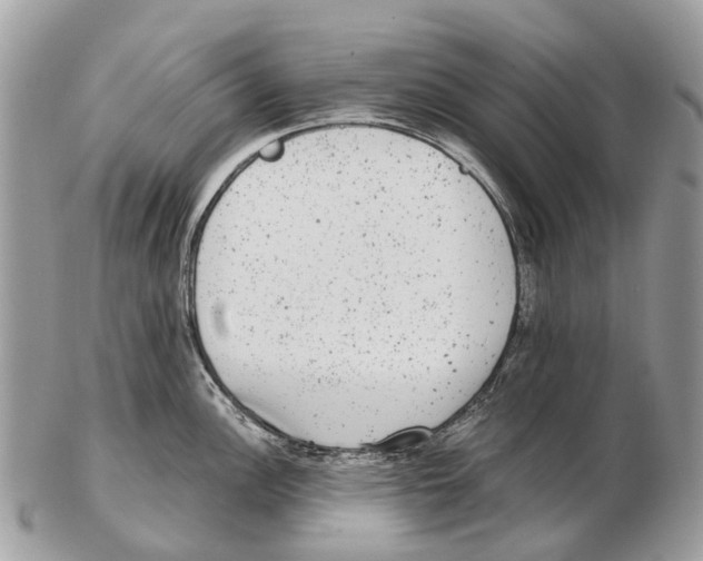 X0000102481148200809051350