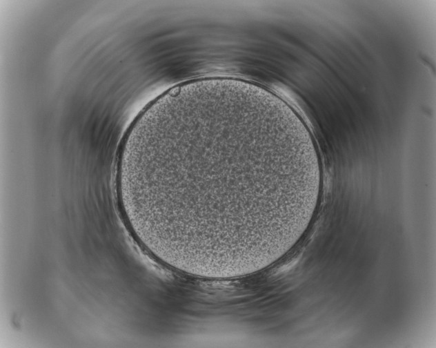 X0000102481149200809051350