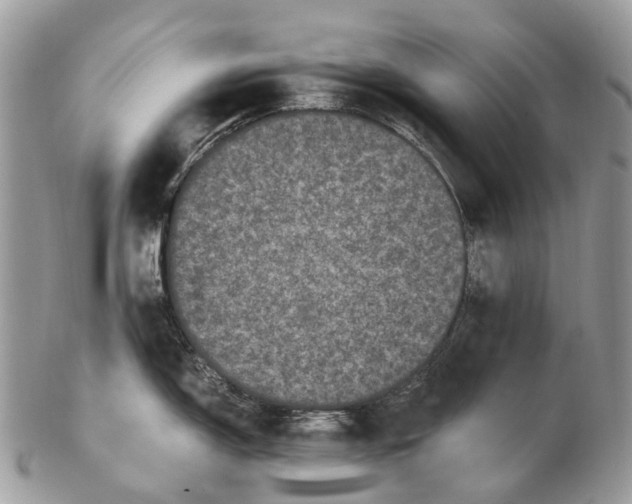 X0000102481150200809051350