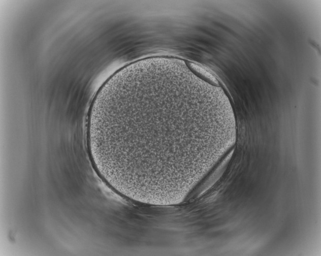 X0000102481151200809051350