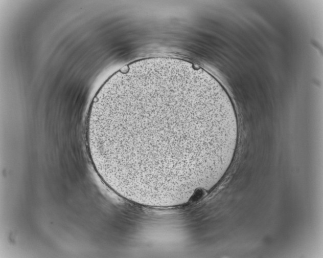 X0000102481152200809051350