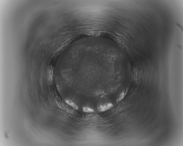 X0000102481154200809051349