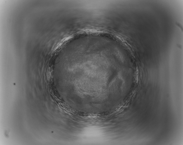 X0000102481157200809051349