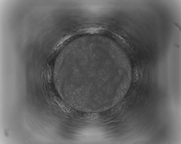 X0000102481158200809051349