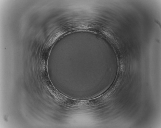 X0000102481161200809051349