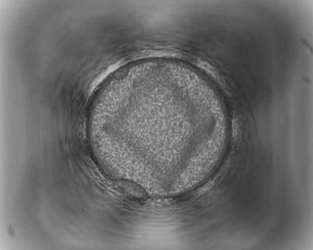 X0000102481165200809051349