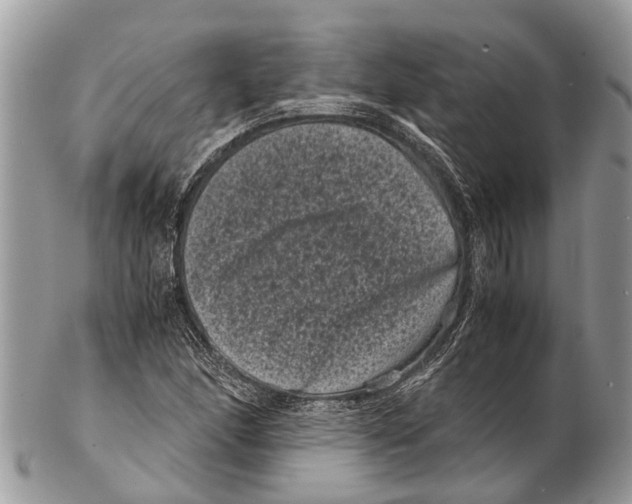 X0000102481166200809051349