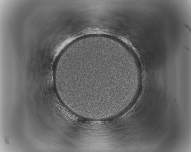 X0000102481167200809051349