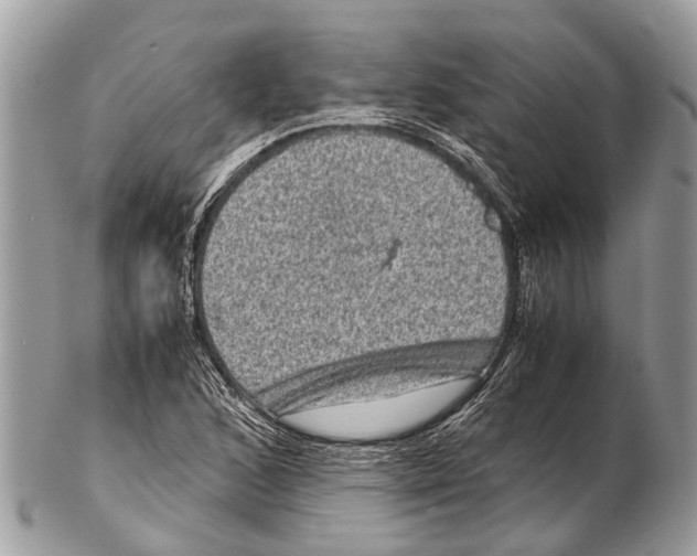 X0000102481168200809051349