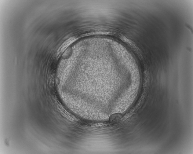 X0000102481169200809051349