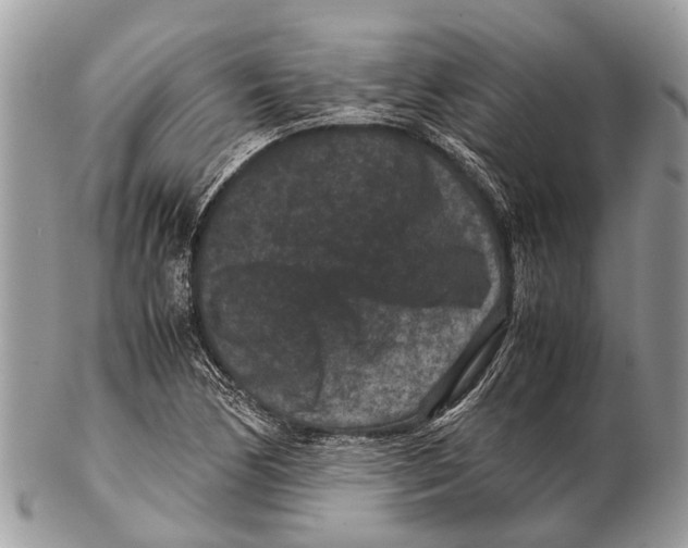 X0000102481170200809051349