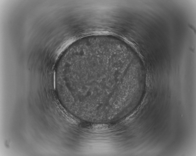 X0000102481171200809051349