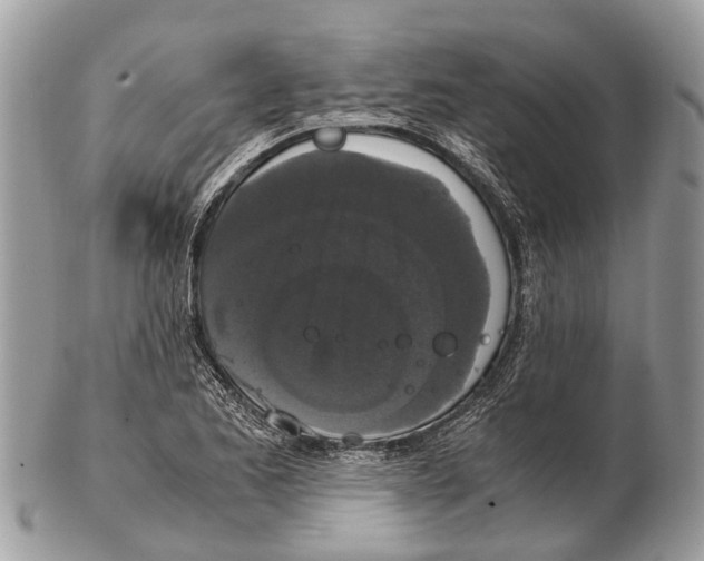 X0000102481173200809051349