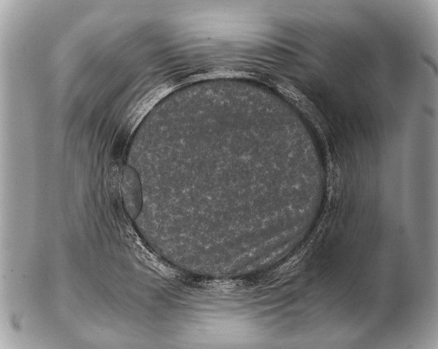 X0000102481177200809051349