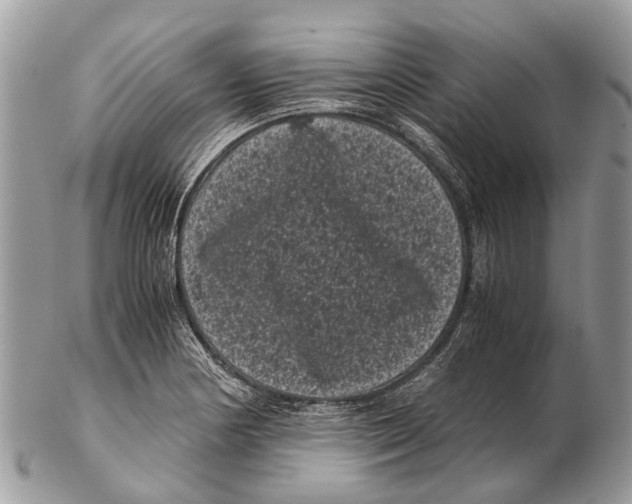 X0000102481178200809051349