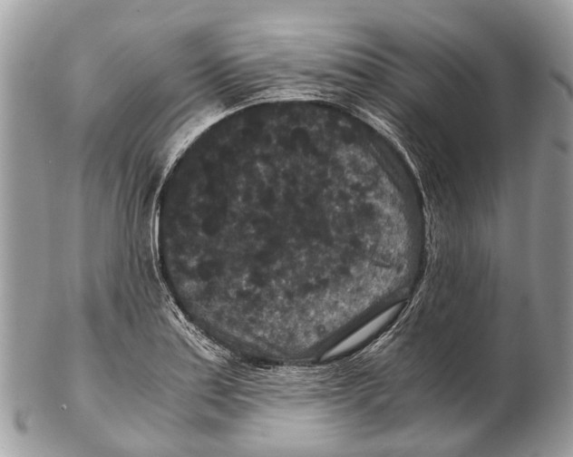 X0000102481179200809051349