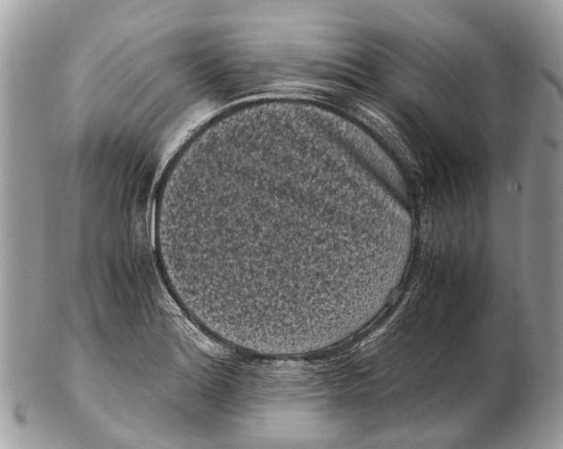 X0000102481180200809051349