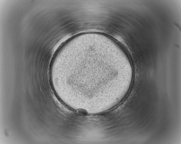 X0000102481181200809051349