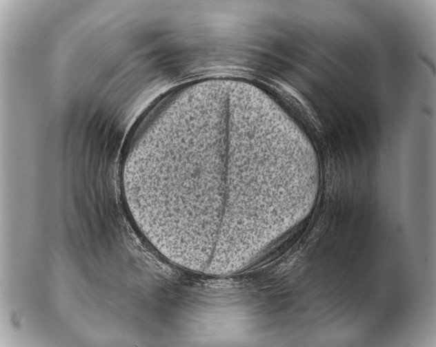 X0000102481182200809051349