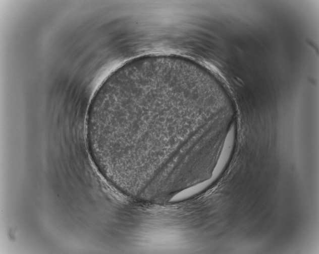 X0000102481183200809051349