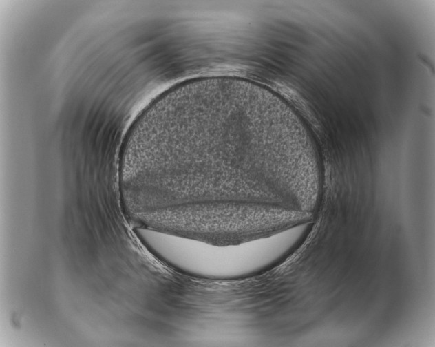 X0000102481184200809051349