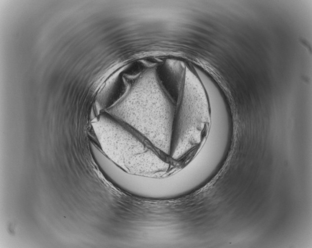 X0000102481185200809051349