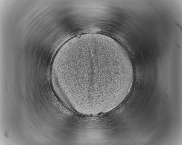 X0000102481186200809051349