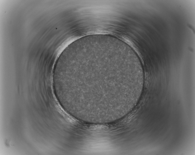 X0000102481187200809051349