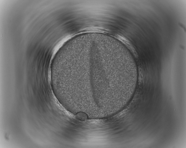 X0000102481188200809051349