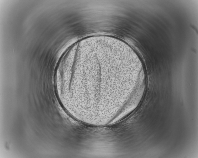 X0000102481189200809051349