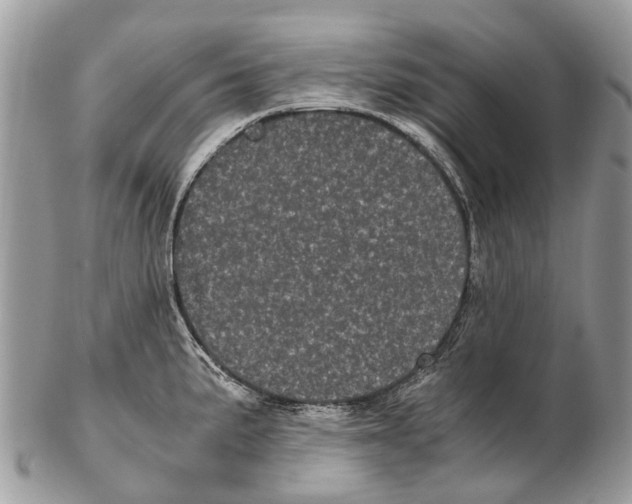 X0000102481191200809051349