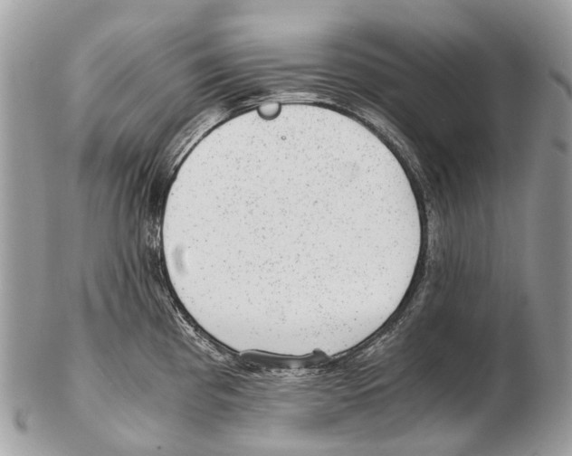 X0000102481193200809051349