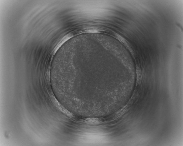 X0000102481194200809051349