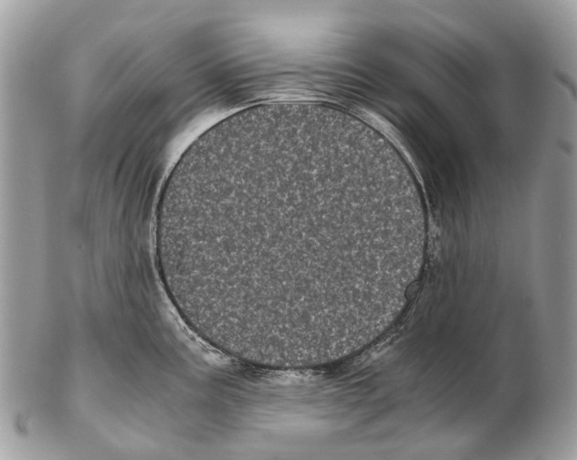 X0000102481195200809051349