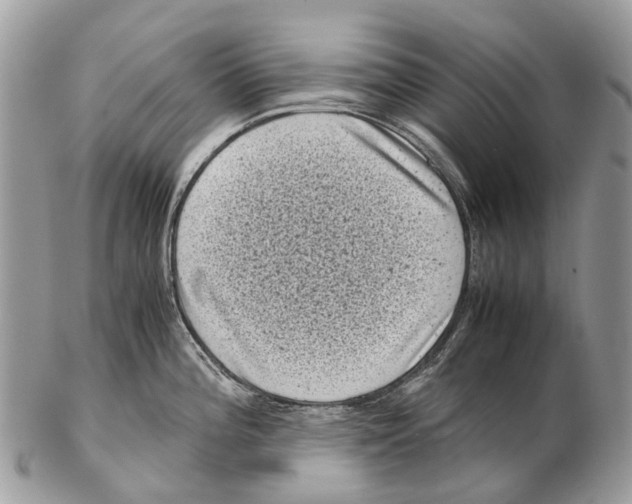 X0000102481196200809051349