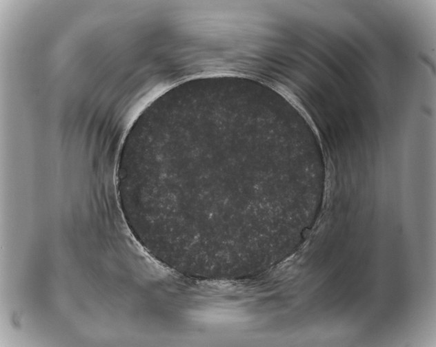 X0000102481197200809051349