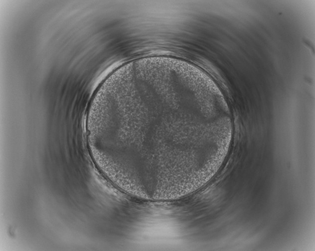 X0000102481198200809051349