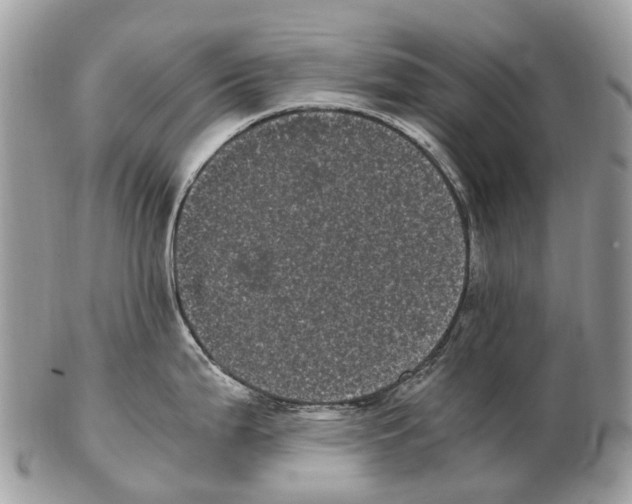 X0000102481199200809051349