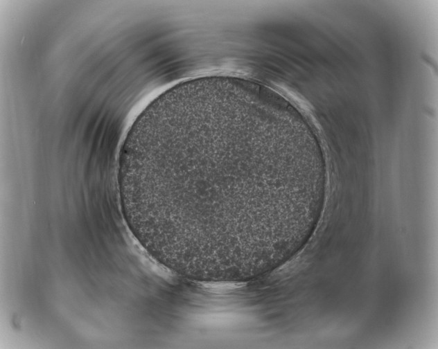 X0000102481200200809051349