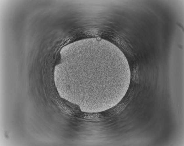 X0000102481201200809051348