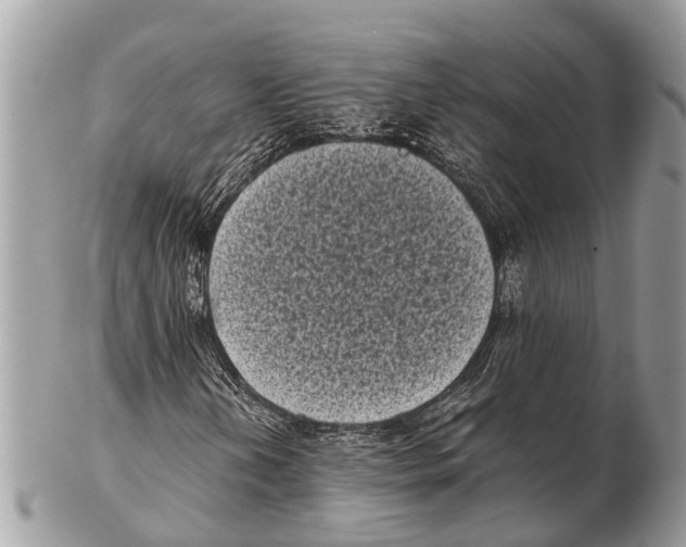 X0000102481202200809051348