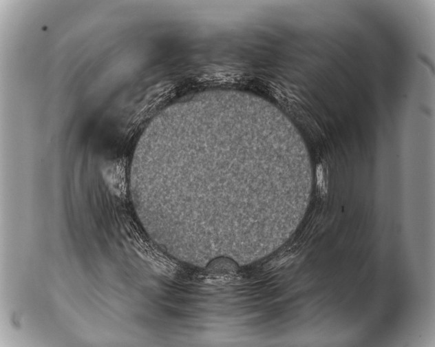 X0000102481203200809051348