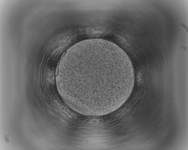 X0000102481204200809051348