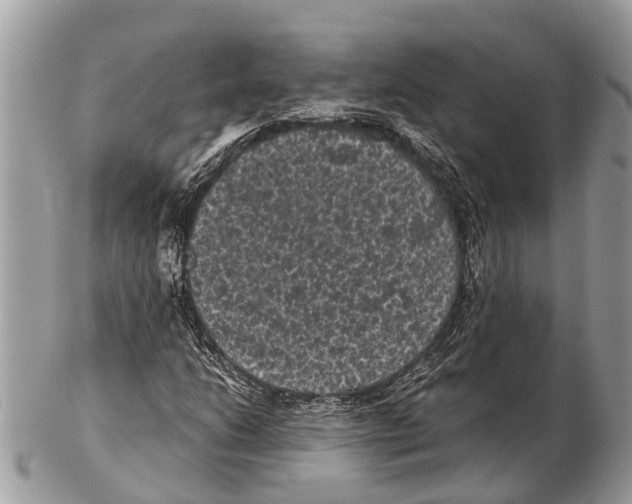 X0000102481206200809051348