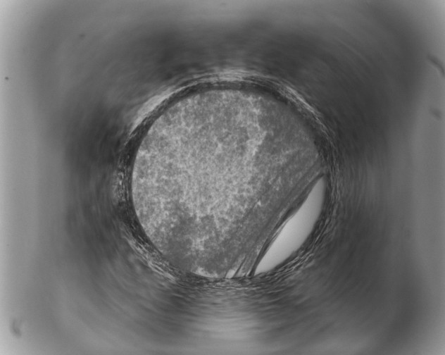 X0000102481208200809051348